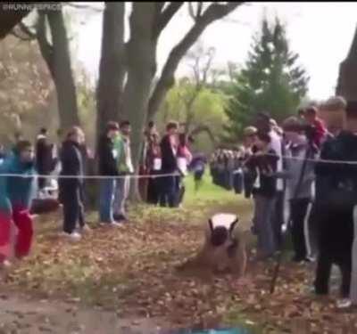 The runner who never gave up