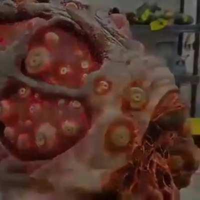 these props out there looking mad