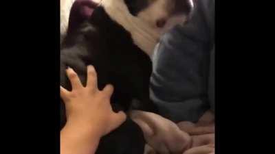 Meme i made: Bandit when they see u underground.