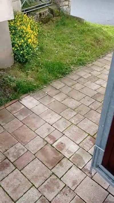 My friends coming to party.