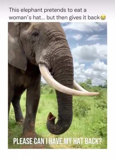 When a 9 jokes with you in good fun