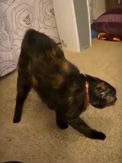 Él sabe a qué se enfrenta...