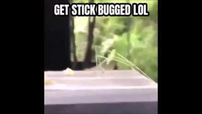 LOL (laughing out loud) 🤣🤣