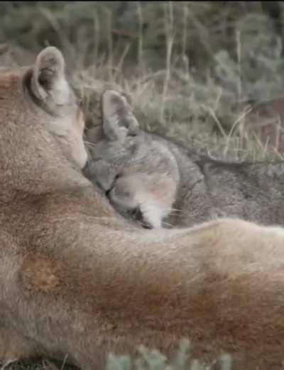 Ну вы поняли...