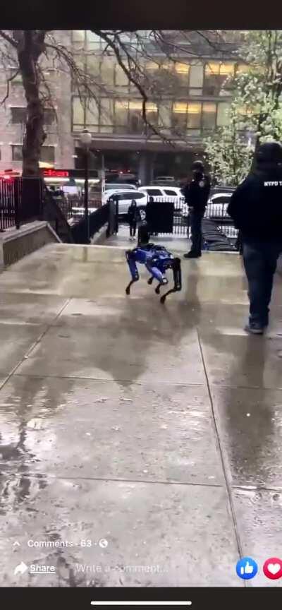 they really got these robot police dogs in NYC. This is wild