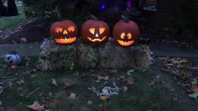 My singing pumpkins!
