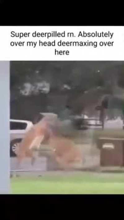 Feelin gee willikers