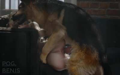 Anybody else need this kind of night? (pog.benis)