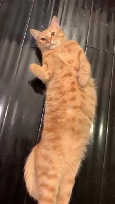 Conversations with Oscar