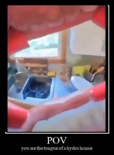 Thanks I hate tongue POV