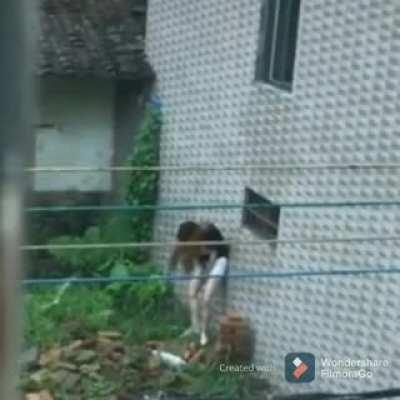 HMC while I climb into this window