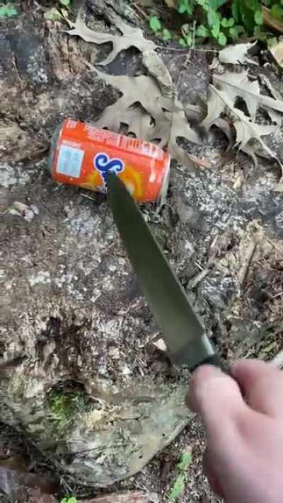 I think it’s a cake…