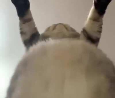 Found this one on the Web