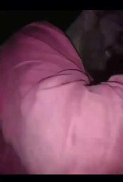 my ninja turtles need me