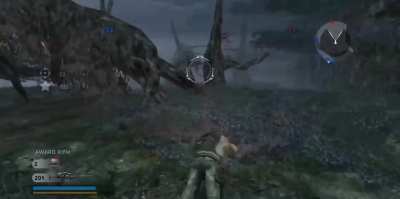 Gotta love ragdolling