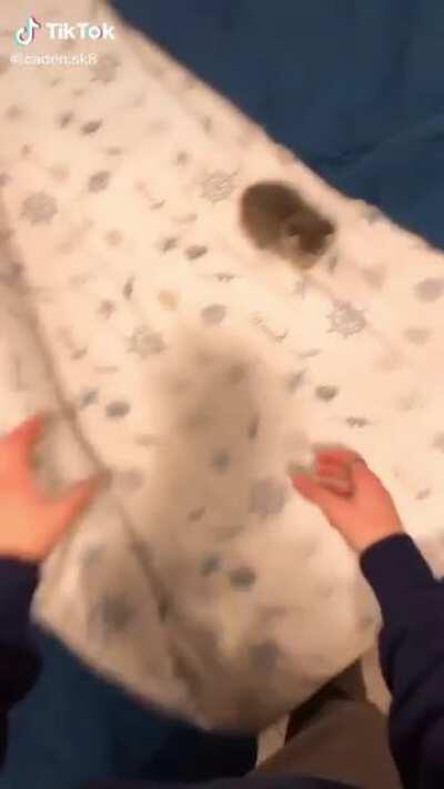 Criminal waking up for school