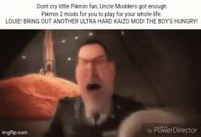 Pikmin 2: Ultra Spicy Randomized ++ and Knuckles Director's Cut