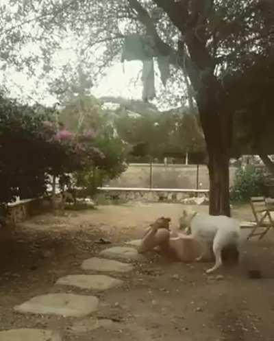 This what happens when you smell pussy in the air