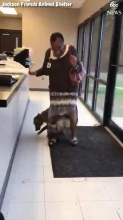 Woman is reunited with her dog that was missing for two weeks