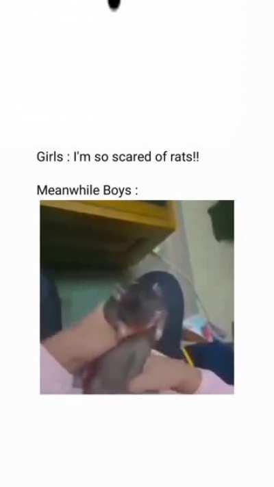 The mouse be dancing tho