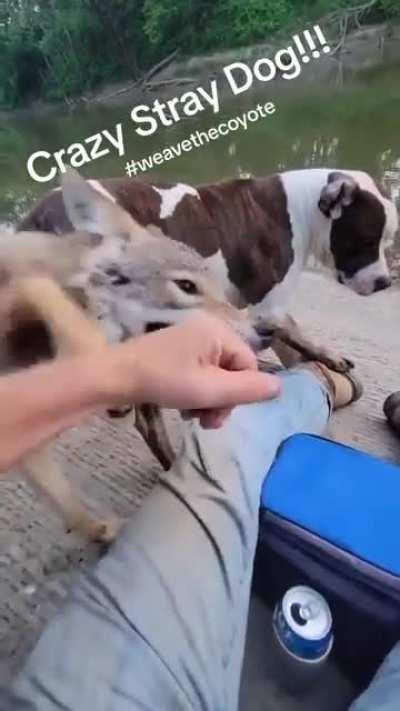 He got a king of the hill voice 😂😂