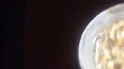 Brazilian youtuber drinks garbage truck juice.