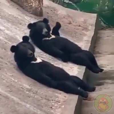 Хороший денëк