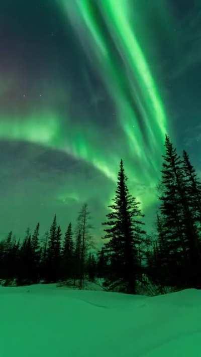 🔥 Aurora dancing in Churchill Manitoba 🔥