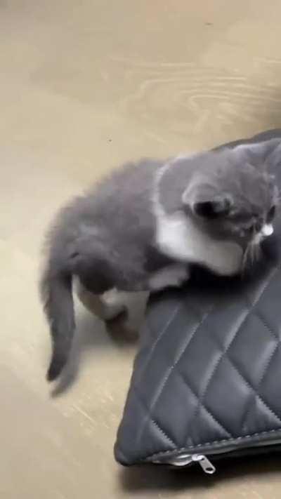 Sleepy baby💖💖💖