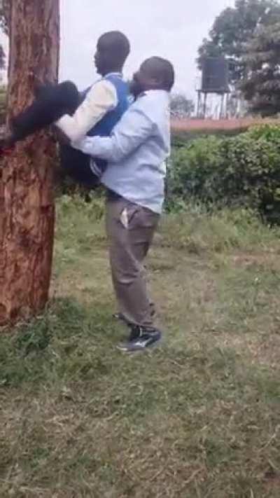 The most ancient maneuver in history