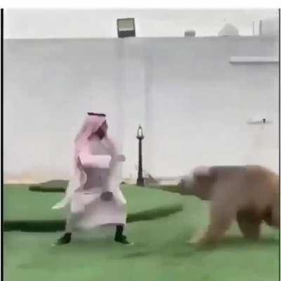 The sheikh is living a dream