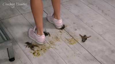 Crawfish sneakers crush