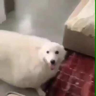 DylanteroYT - Video #1389