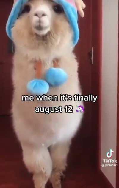 Happy August 12th everyone