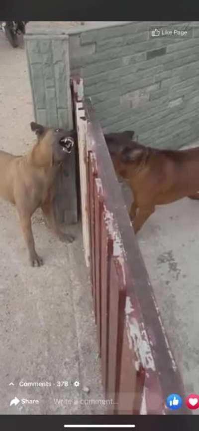 Internet flights be like🤣🤣😂: