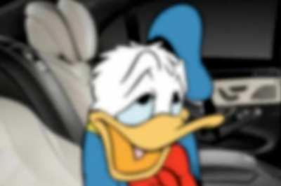 donald duck