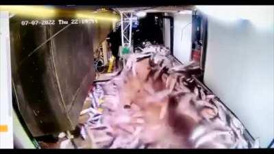 Fish run or something