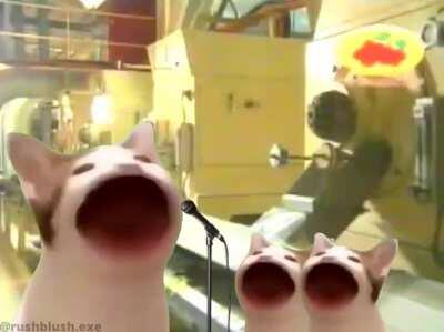 Beras Cap Rambutan meme