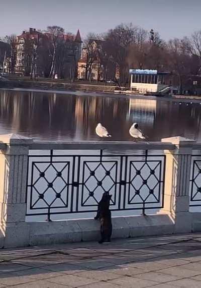 Mondays often be like…..