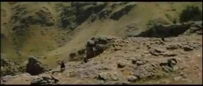 Y'all remember this one?