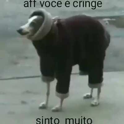 Desculpa woods vc é MT cringe