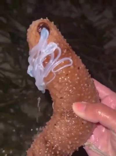 Touch, don't touch it! 