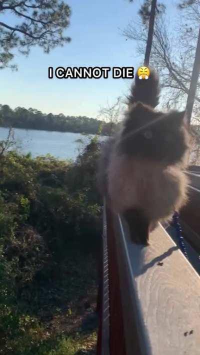 darkness imprisoning me