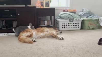 More Sebastian and Sophie shenanigans