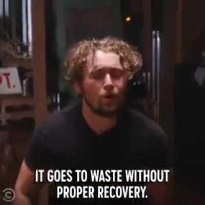 Cruelty free cock fighting