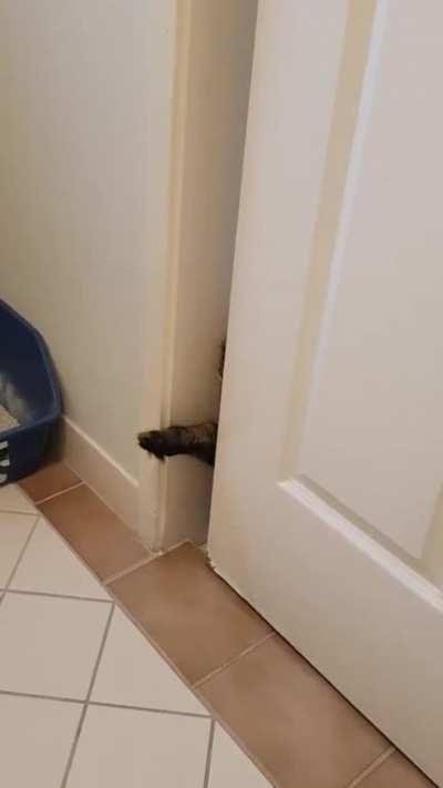 She opens sliding doors with her face