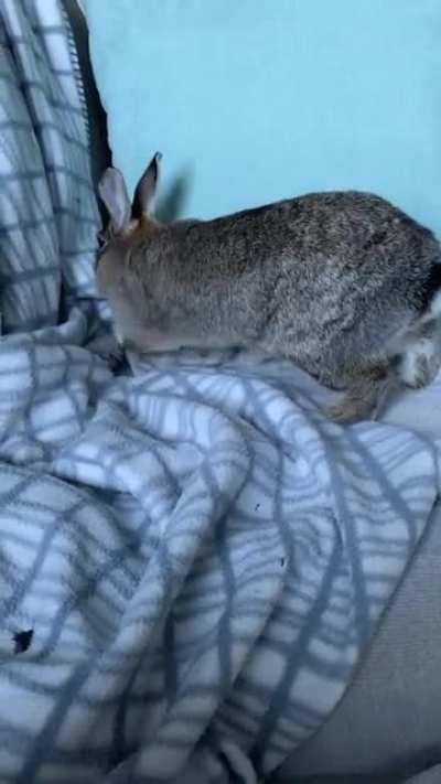 Nice and neat military corners