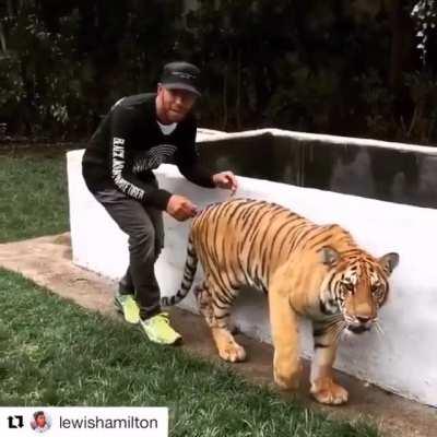 Who Is tHe HunTeR aNd wHo iS The HunTed?