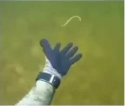 Why was bro so scared