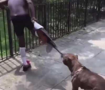 How tf do you let the dog hit a lick on you😭